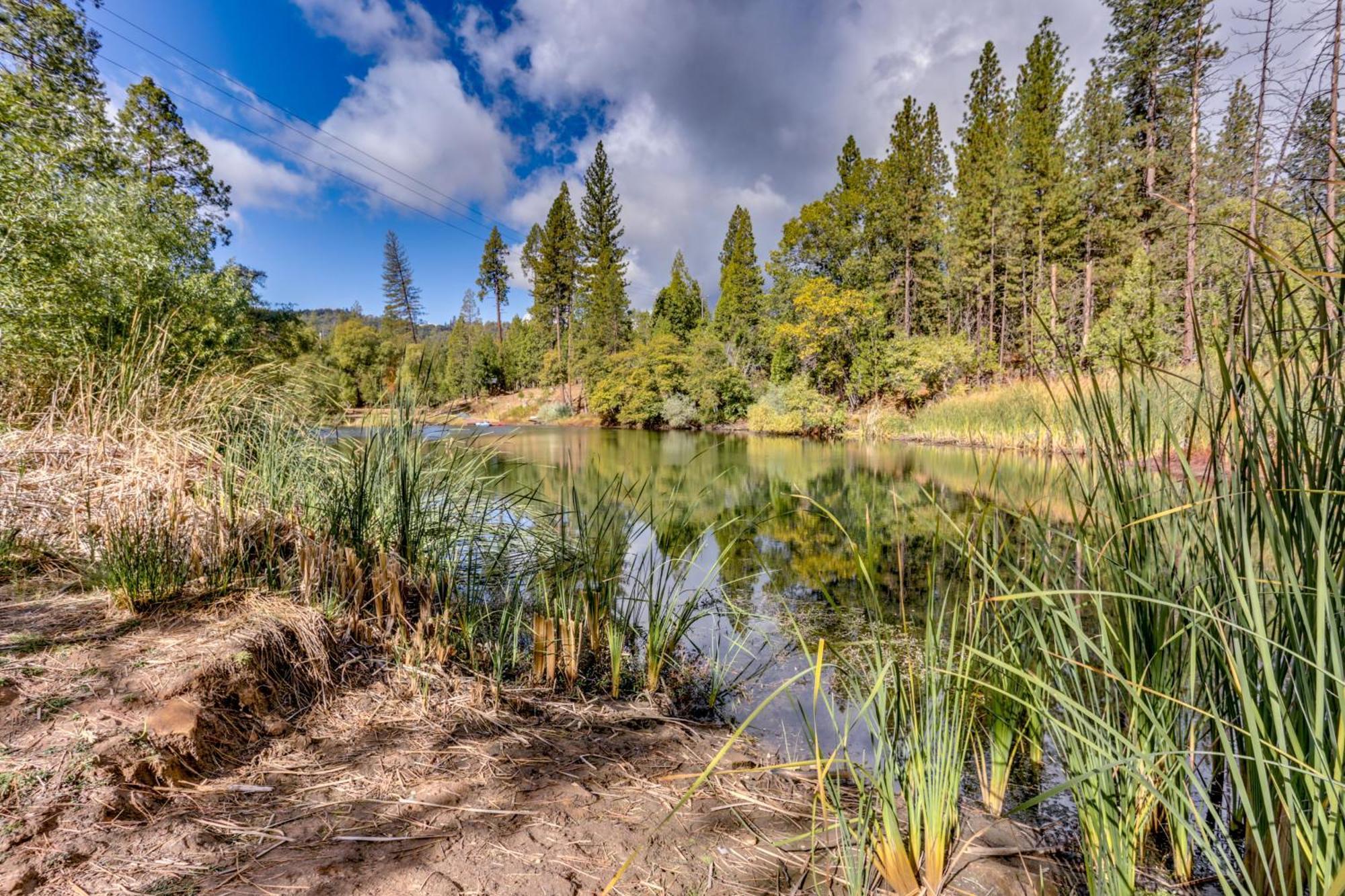 Pet-Friendly Escape With Game Room And Fire Pit! North Fork Kültér fotó